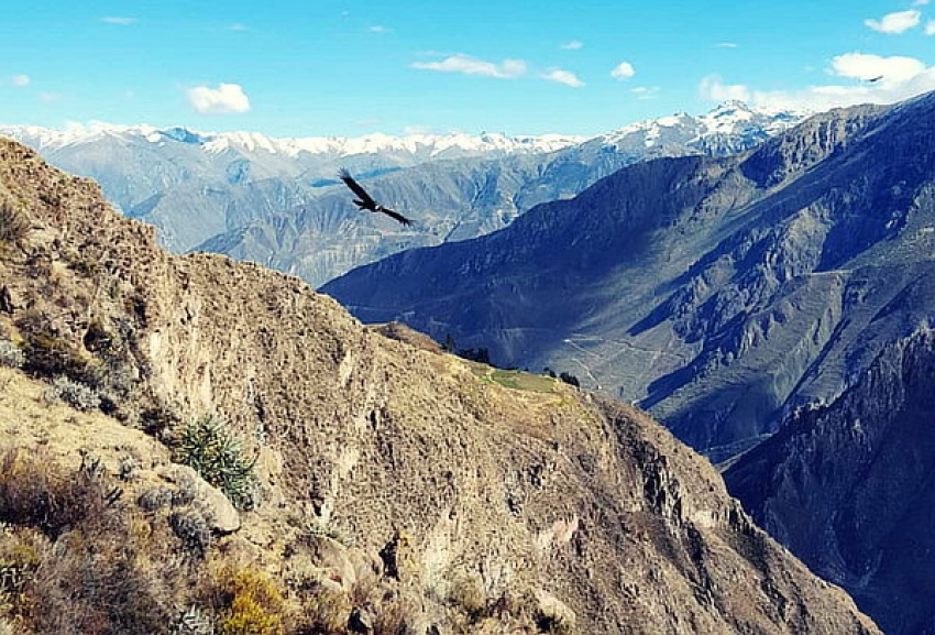 Vive la mejor Experiencia en Colca trekking 2D/1N